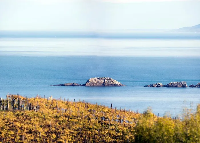 公寓 Aterian Gaztelu